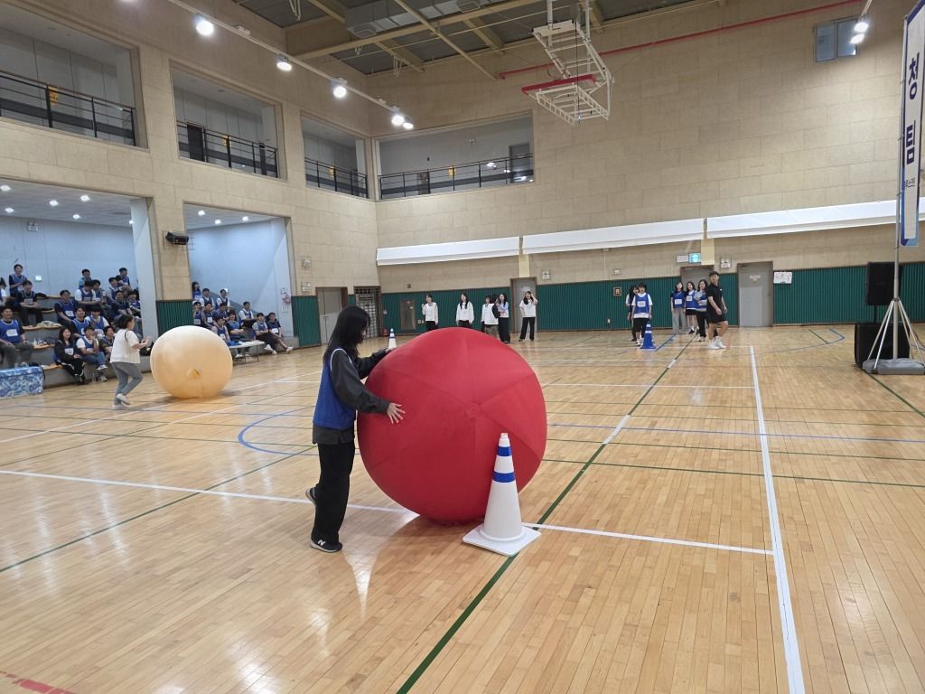 lg_d17592147177659_8_%28108%29.jpg