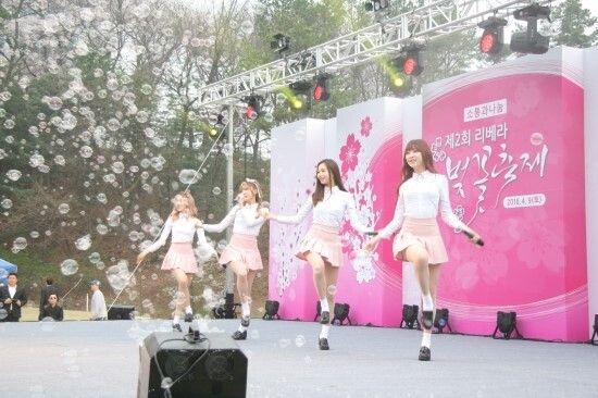 동탄시 라 벚꽃축제